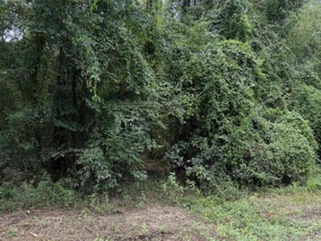 Land for sale in Lucedale, Mississippi