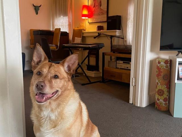 Room for rent in Camerons Creek, Victoria