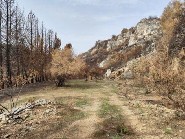 Terreno in vendita a Melilli, Sicilia