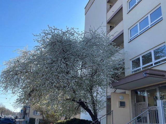 Etagenwohnung kaufen in München