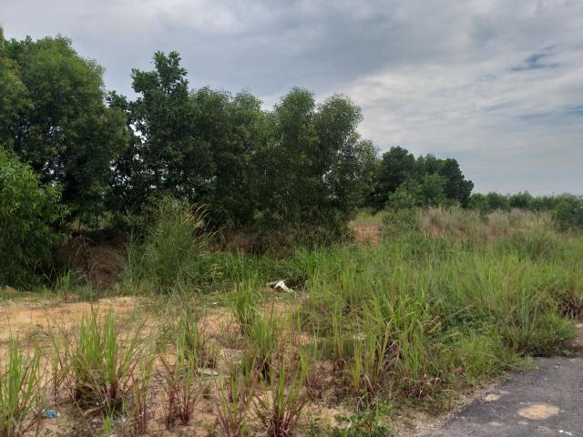 Property for rent in Pasir Gudang, Johor