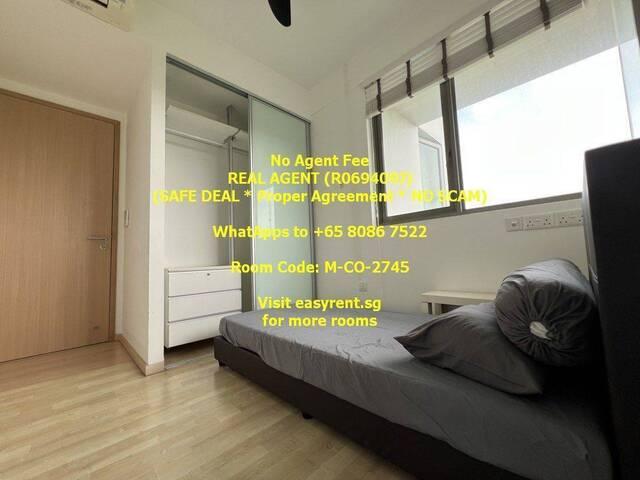Room for rent