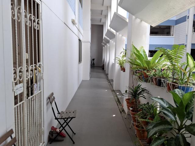 Detached House for sale in 19 North East, Hougang