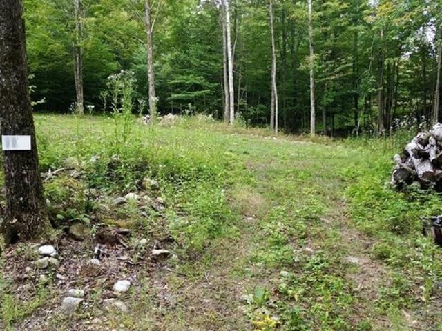 Land for sale in North Chittenden, Chittenden