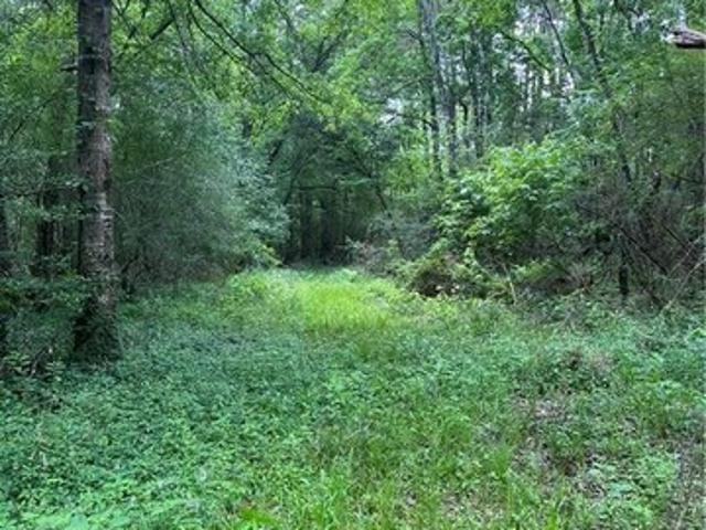 Land for sale in Loranger, Louisiana