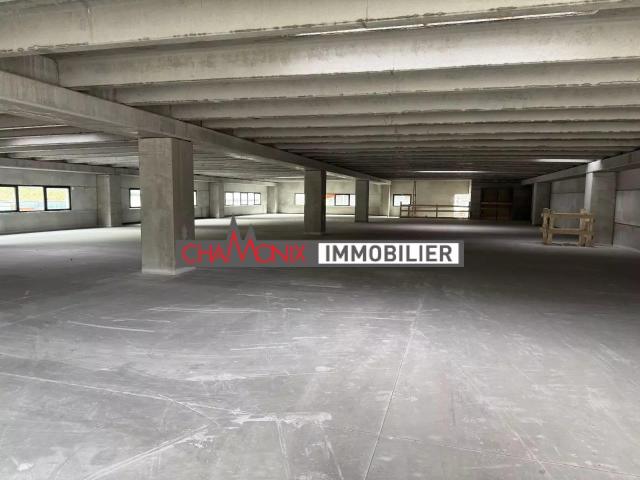 Local Commercial vente à Bonneville, Passy