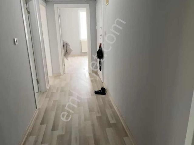 Saray, Tekirdağ içerisinde kiralık mülk