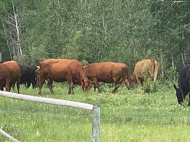 Land for sale in Saskatchewan