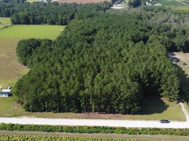 Land for sale in Aynor, South Carolina