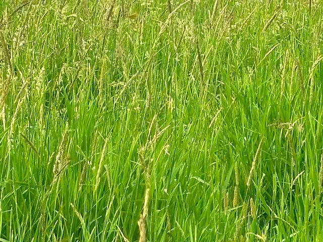 Land for sale in Prince Albert, Saskatchewan