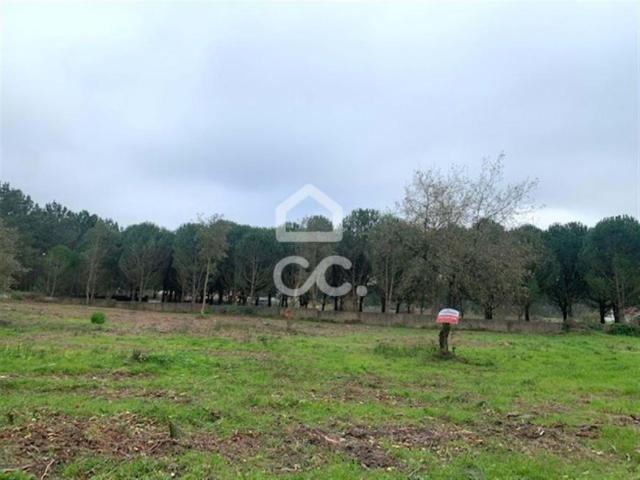 Terreno venda em Alcobaça, Leiria