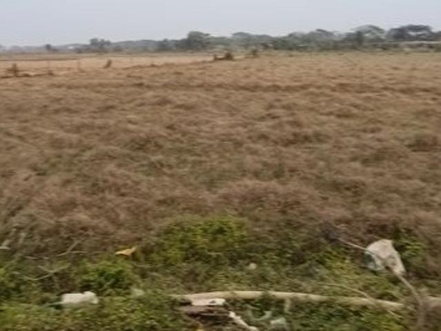Land for sale in Bhubaneshwar