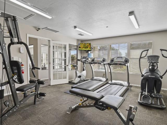 Apartment for rent in El Paso