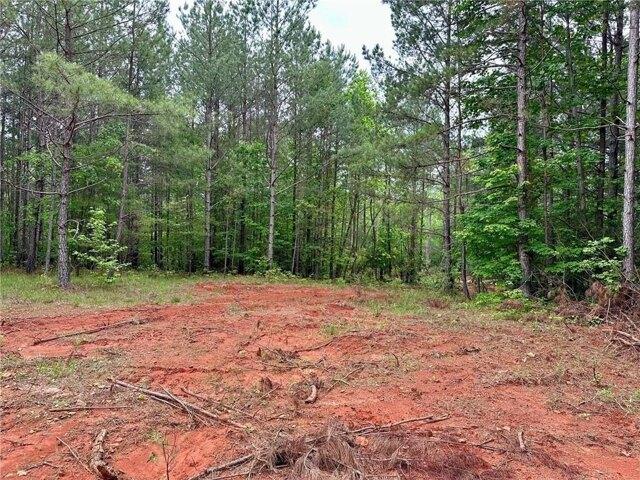 Land for sale in Dahlonega