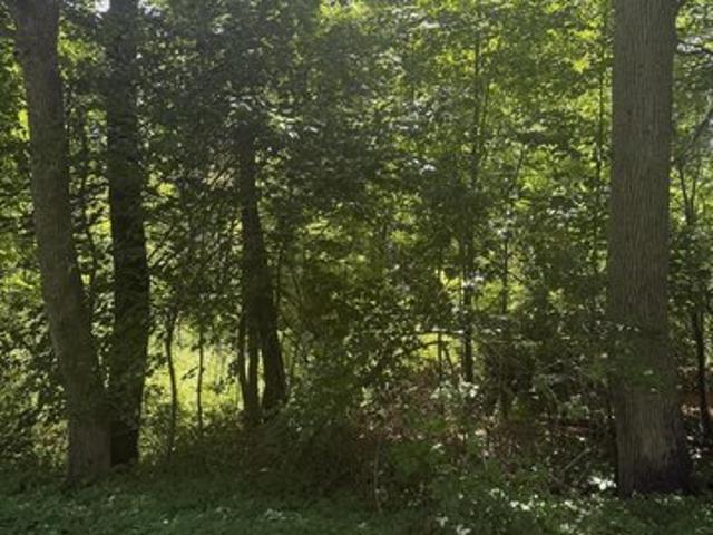 Land for sale in Waldo, Maine