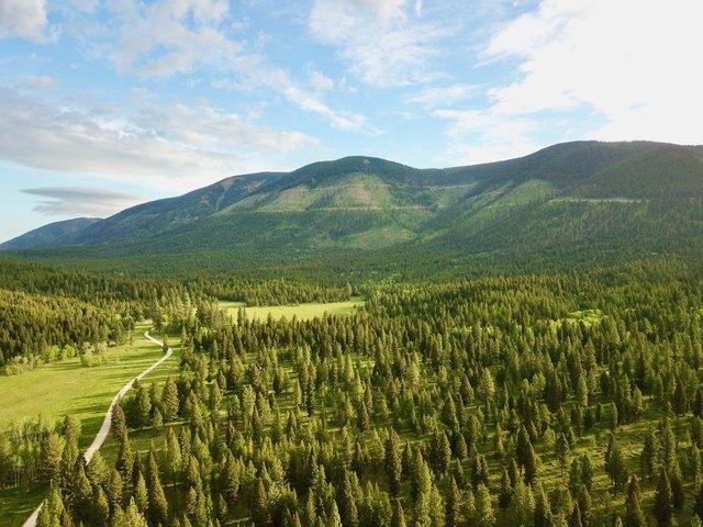 Land for sale in Helmville, Montana