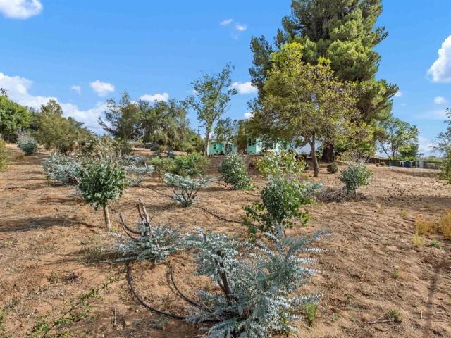 Land for sale in Escondido, California
