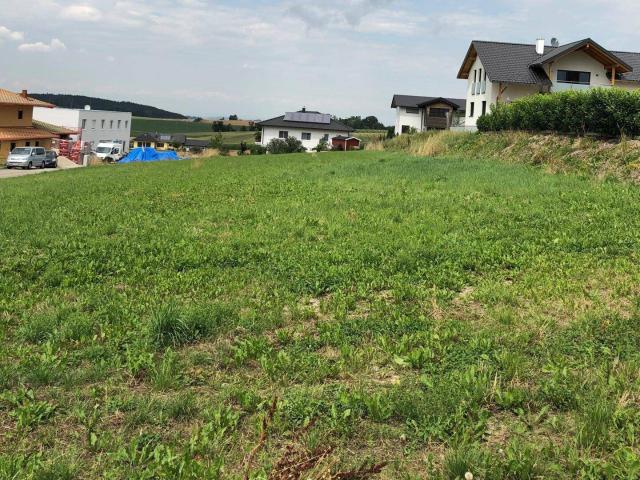 Immobilie kaufen in Pattigham, Oberösterreich