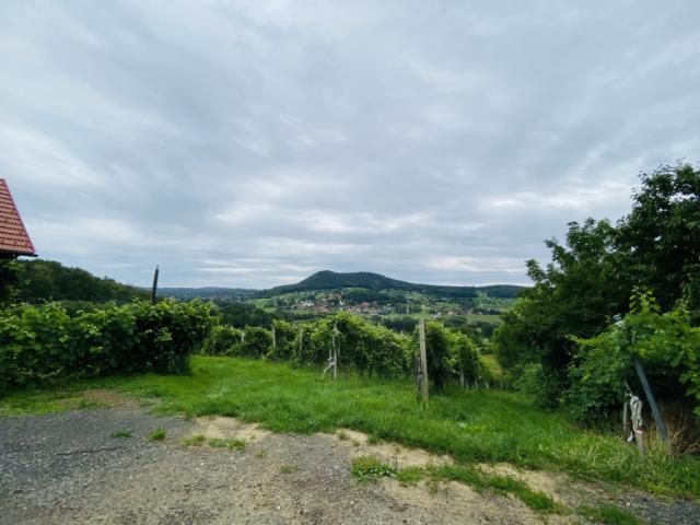 Haus kaufen in Tieschen, Steiermark