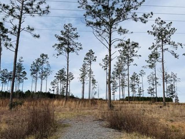 Land for sale in Deridder, Louisiana