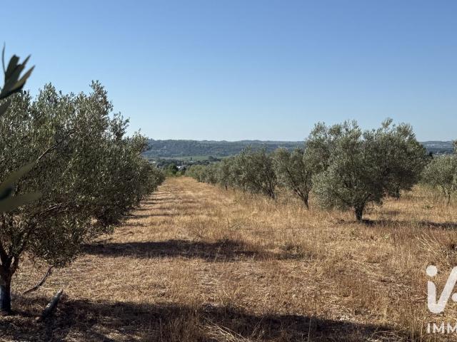 Terrain vente à Paulhan, Hérault