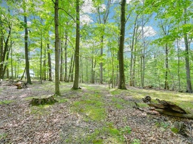 Land for sale in New Jersey