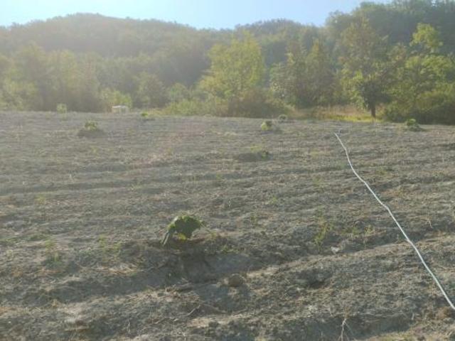 Terreno in vendita a Piemonte, Alessandria
