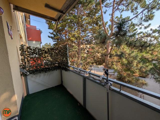 Apartment mieten in Katastralgemeinde Mannswörth, Schwechat