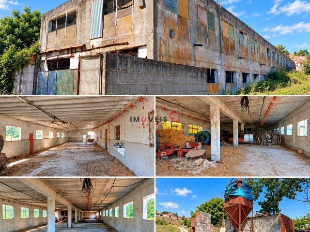 Armazém venda em Santarém