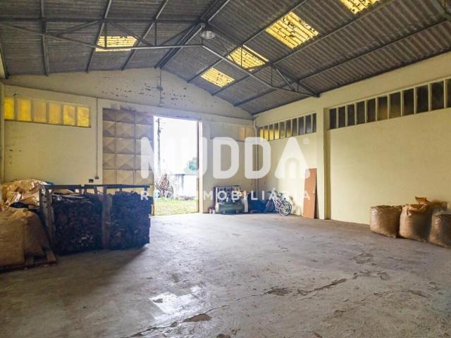 Armazém alugar em Lourosa