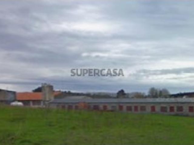 Armazém venda em Anadia, Aveiro