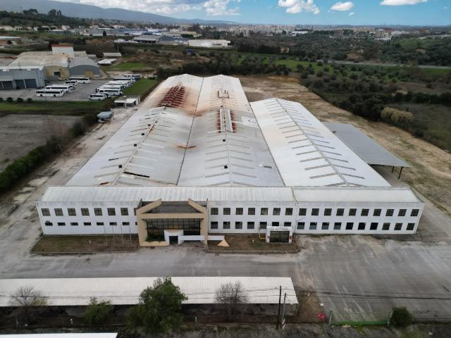 Armazém venda em Torres Novas, Santarém