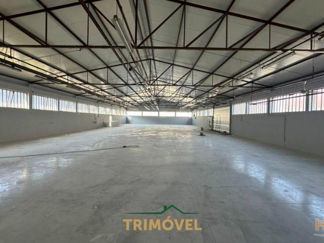 Armazém alugar em Oliveira De Azeméis