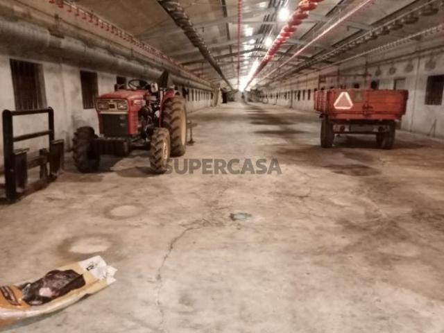 Armazém venda em Águeda, Aveiro