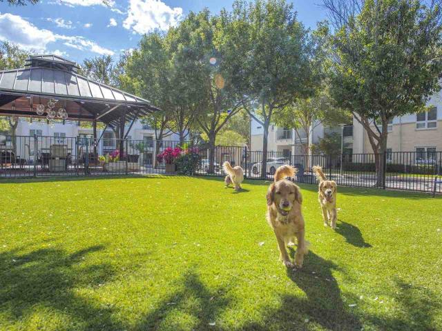 Apartment for rent in Dallas, Dallas County