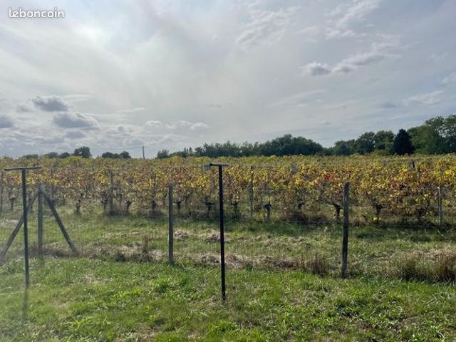 Maison vente à Bordeaux, Carignan-de-bordeaux