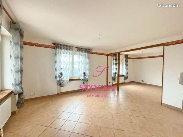 Maison vente à Nancy, Dombasle-sur-meurthe