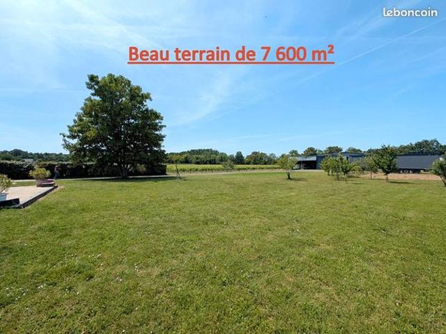 Maison vente à Saumur, Montreuil-bellay