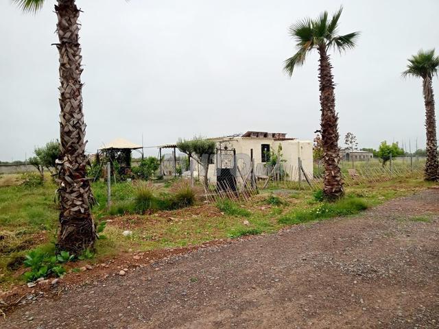 Maison location à L'Oriental