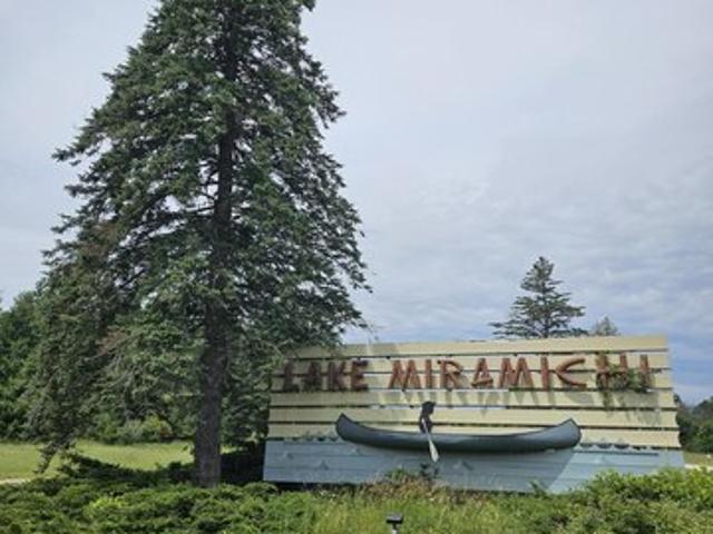 Land for sale in Evart, Michigan