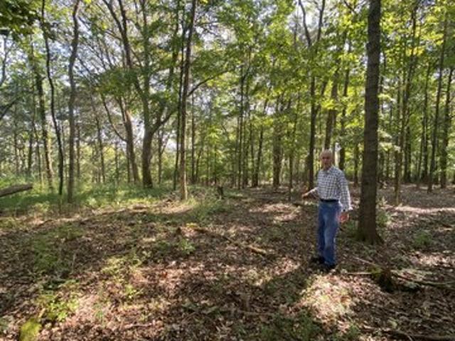 Land for sale in Tennessee