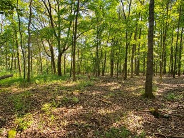 Land for sale in Madison, Nashville