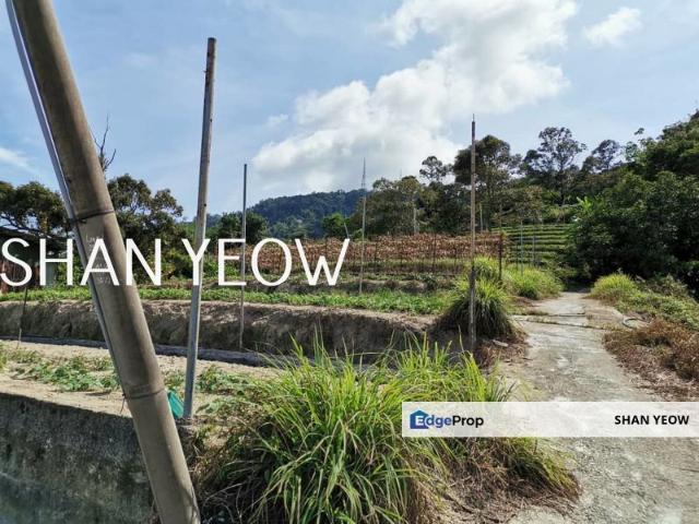 House for sale in Paya Terubong, George Town