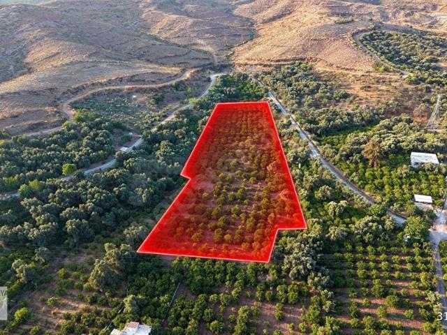 Seferihisar, İzmir içerisinde satılık Arsa