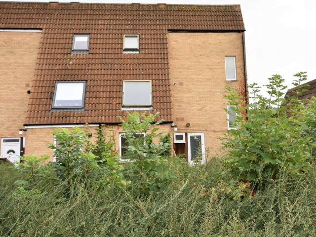 Room for rent in Peterborough
