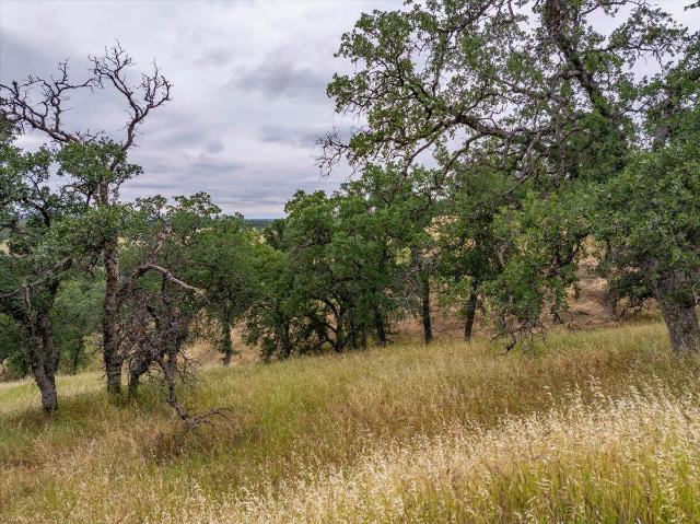Land for sale in Red Bluff, California