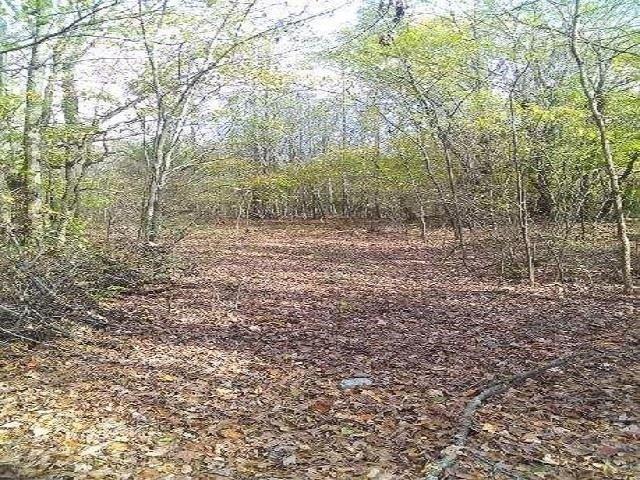 Land for sale in Tennessee