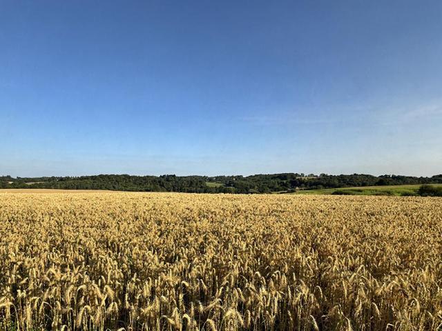 Maison vente à Nontron, Nouvelle-Aquitaine