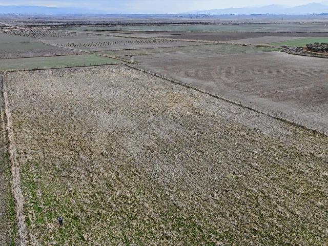 Salihli, Manisa içerisinde satılık Arsa