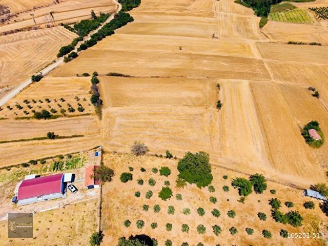 Pazarlı, Gelibolu içerisinde satılık Arsa